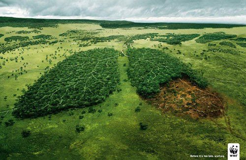 WWF Emotional Ad